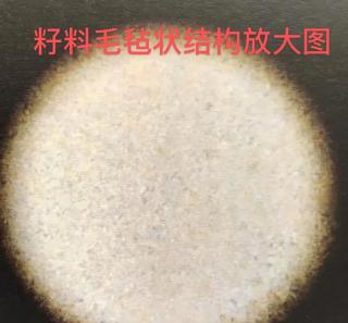 和田玉四大产地内部结构揭秘🔍