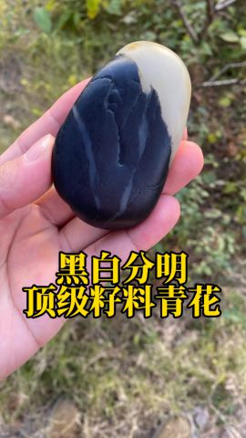 新收一块和田玉顶级籽料青花黑白分明149克
