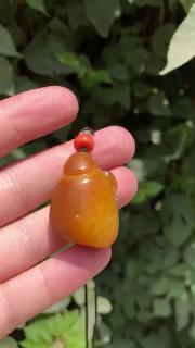新疆和田玉籽料沁黄皮独籽挂件甲壳虫,富甲天下,皮色顶级了!颜色正,真